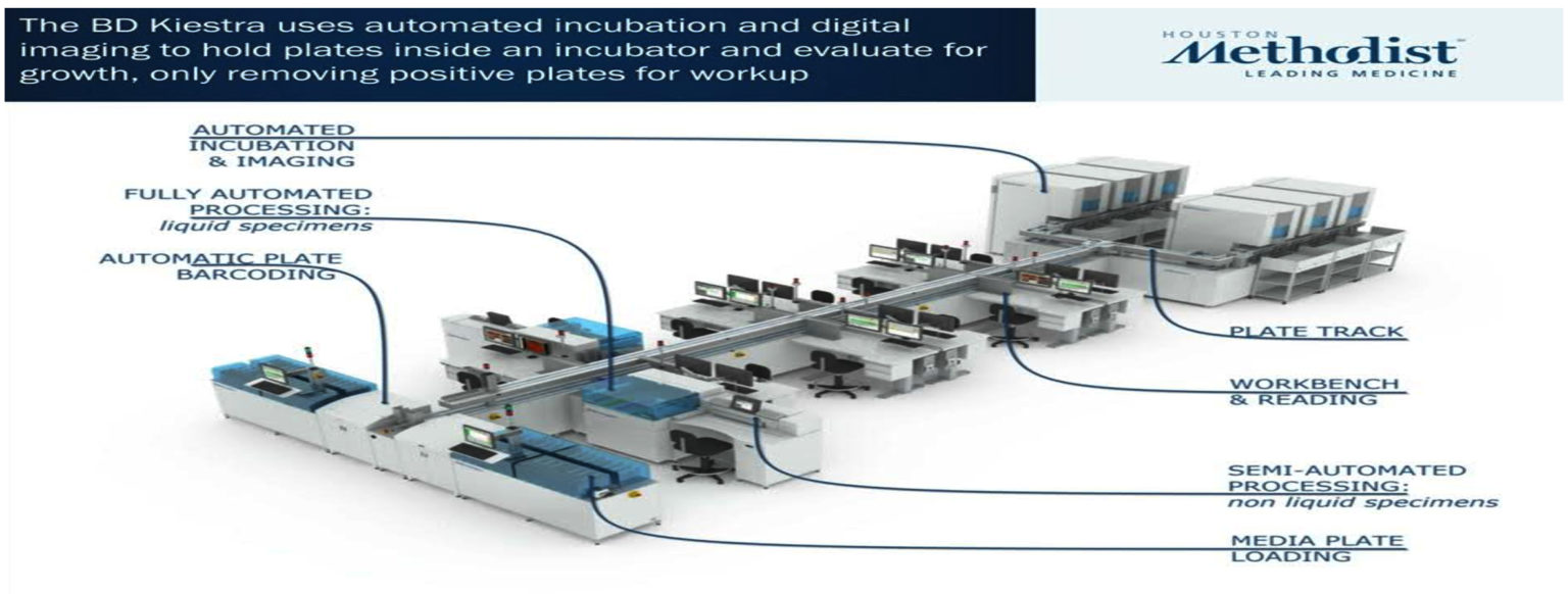 Transforming Medical Microbiology: The Role of Artificial Intelligence ...