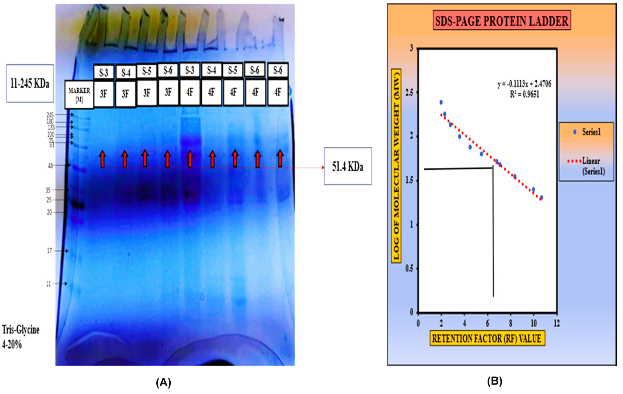 Screening, Analysis, and Purification of Unique Cellulase from Bacillus ...