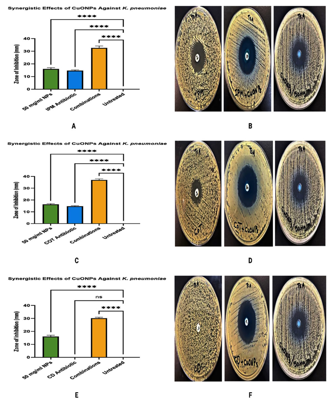 Copper Oxide Nanoparticles Antibacterial Efficacy And Biofilm copper-oxide-nanoparticles-antibacterial-efficacy-and-biofilm
