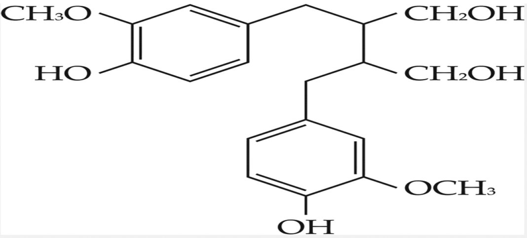 Dietary Polyphenols in Human Health: A Novel Critical Review of ...