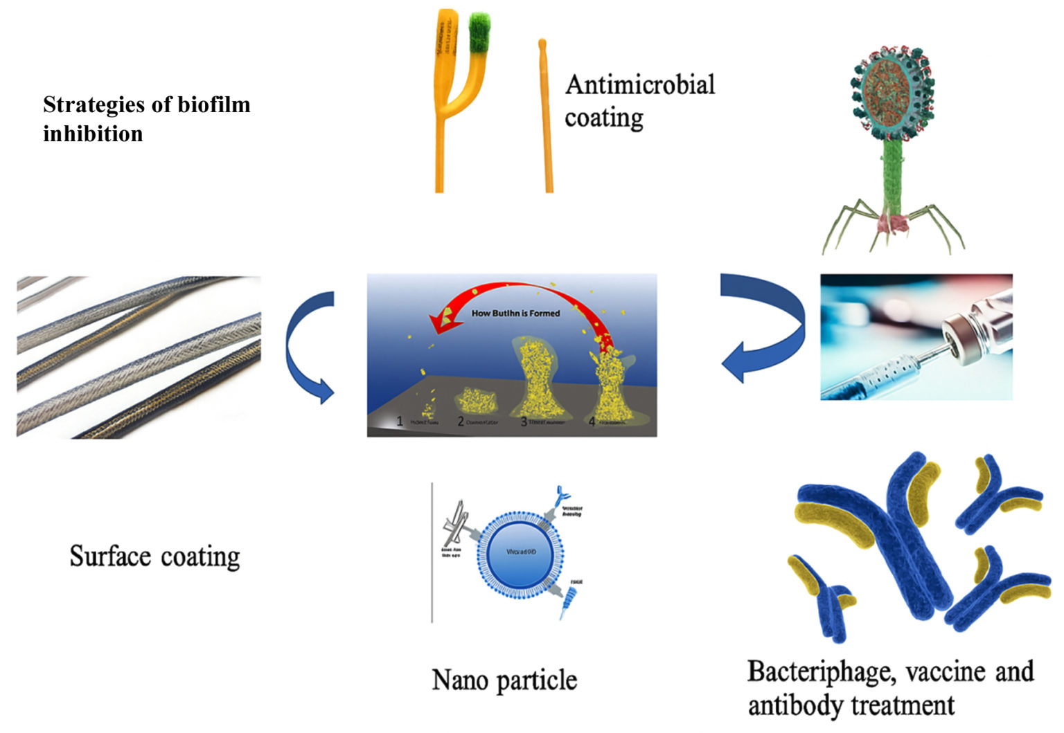 Prevention and Control of Biofilm Based Infection in Medical Devices ...
