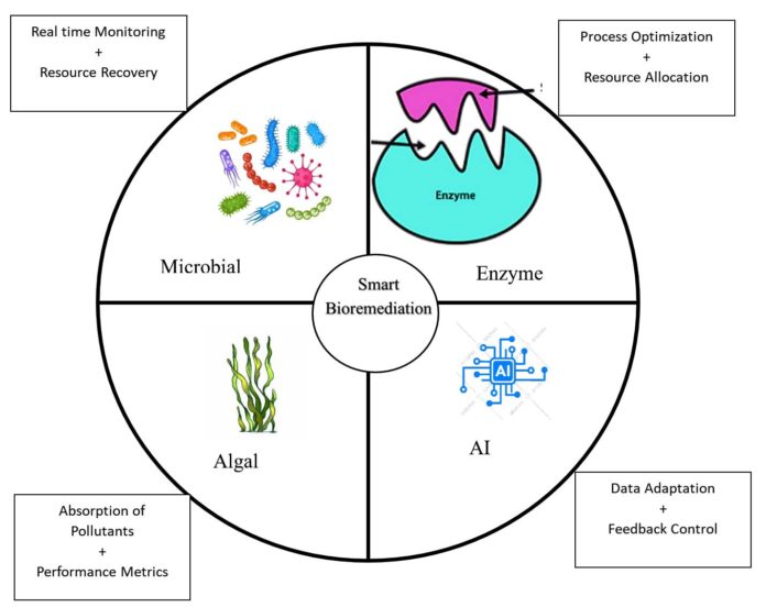 Smart Bioremediation For Wastewater Treatment A Comprehensive Review smart-bioremediation-for-wastewater-treatment-a-comprehensive-review